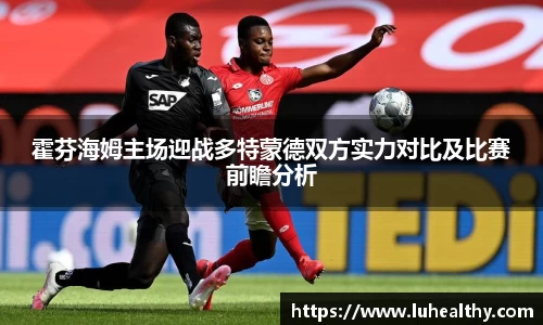 zoty中欧