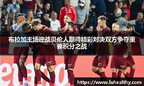 zoty中欧官方网站