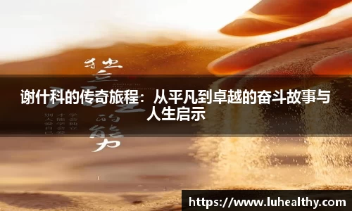 zoty中欧官网