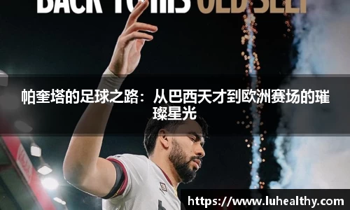 zoty中欧官方网站