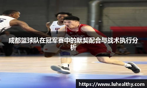 zoty中欧