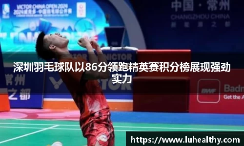 深圳羽毛球队以86分领跑精英赛积分榜展现强劲实力