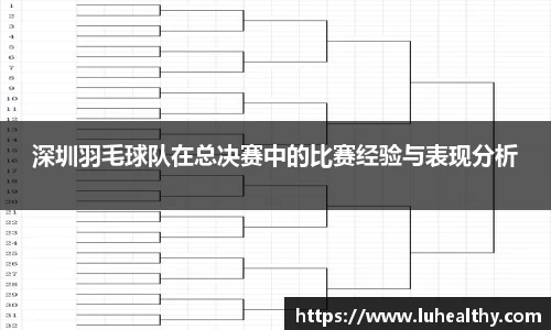 深圳羽毛球队在总决赛中的比赛经验与表现分析